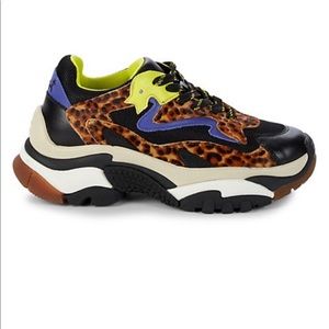 New ASH sneakers